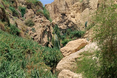 Ein Gedi Nature Reserve, Israel Stock Photo - Rights-Managed, Code: 700-00430529