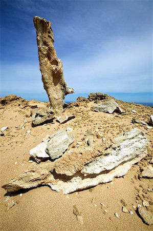 petrified (fossilized) - Calcified Forest, King Island, Tasmania, Australia Stock Photo - Rights-Managed, Code: 700-00459777