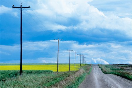 dirt farm road - Gravel Country Road, Alberta, Canada Stock Photo - Rights-Managed, Code: 700-00459924