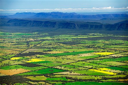 Aerial of Canola and Wheat Fields, Victoria, Australia Stock Photo - Rights-Managed, Code: 700-00453311