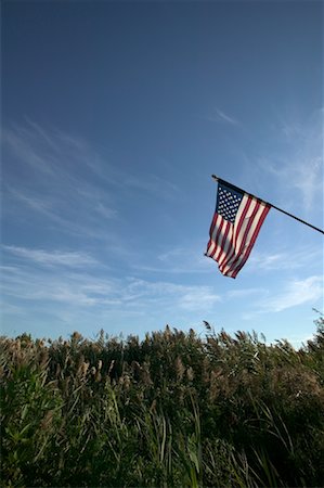 simsearch:600-03152222,k - Amerikanische Flagge im Feld weit Rockaway, New York, New York, USA Stockbilder - Lizenzpflichtiges, Bildnummer: 700-00476832