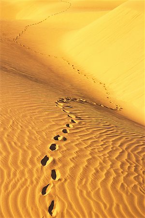 simsearch:700-01378456,k - Footprints in Desert Foto de stock - Con derechos protegidos, Código: 700-00478261