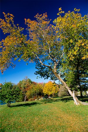 Park, Village de Lake Placid, Lake Placid, parc des Adirondacks, New York, USA Photographie de stock - Rights-Managed, Code: 700-00478371
