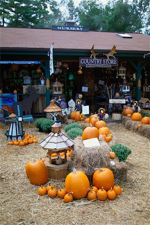 Country Store in Adirondack Park, New York State, USA Foto de stock - Con derechos protegidos, Código: 700-00478397