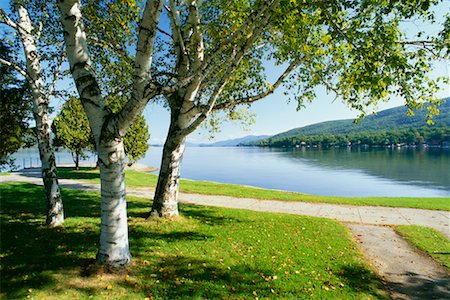 Bouleaux arbres et passerelle, Lake George, parc des Adirondacks, New York, USA Photographie de stock - Rights-Managed, Code: 700-00478393