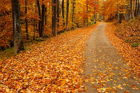 Country Road, Vermont, USA Foto de stock - Con derechos protegidos, Código: 700-00478421