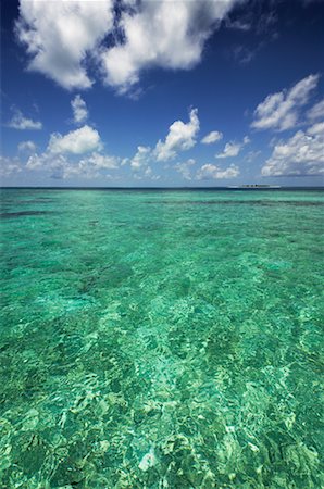 david nardini - Maldives, océan Indien Photographie de stock - Rights-Managed, Code: 700-00478604