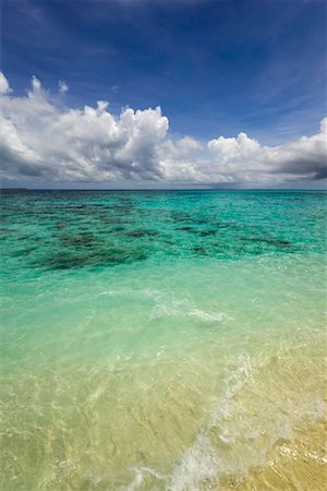 david nardini - Maldives Stock Photo - Rights-Managed, Code: 700-00478617