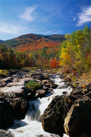 simsearch:700-00015959,k - River Rapids in Forest Ausable River, Adirondack Park, New York State, USA Foto de stock - Con derechos protegidos, Código: 700-00481917