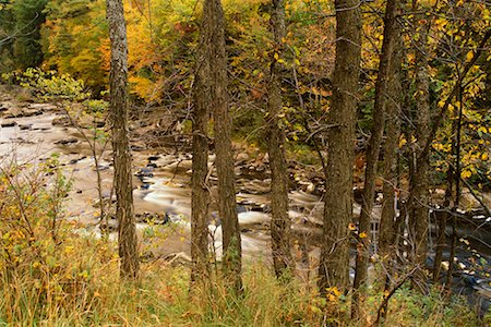 Rapids, Ausable River, West Branch, Adirondack Park, New York, USA Foto de stock - Con derechos protegidos, Código: 700-00481924