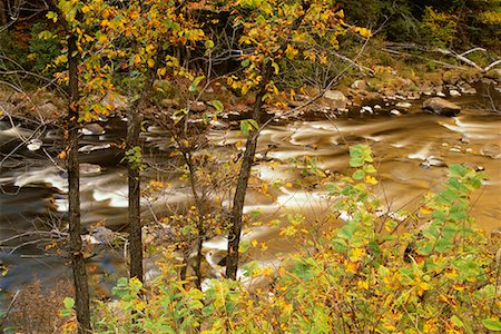 Rapids, Ausable River, West Branch, Adirondack Park, New York, USA Foto de stock - Con derechos protegidos, Código: 700-00481925