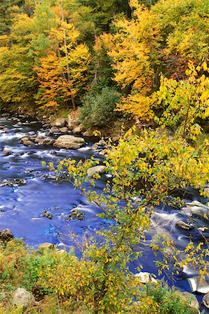 Rapids, Ausable River, West Branch, Adirondack Park, New York, USA Foto de stock - Con derechos protegidos, Código: 700-00481926