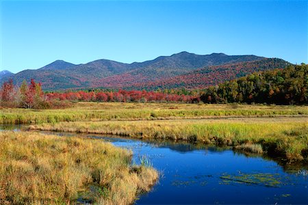 Moose Creek, McKenzie Mountain Wilderness, Adirondack State Park, New York, USA Foto de stock - Con derechos protegidos, Código: 700-00481936