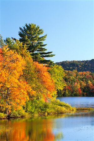 Lewey Lake in Autumn, Adirondack Park, New York State, USA Foto de stock - Con derechos protegidos, Código: 700-00481948