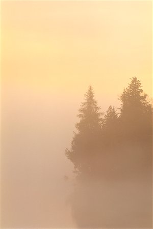 Island on Lake Abanakee, Adirondack Park, New York, USA Foto de stock - Con derechos protegidos, Código: 700-00481943