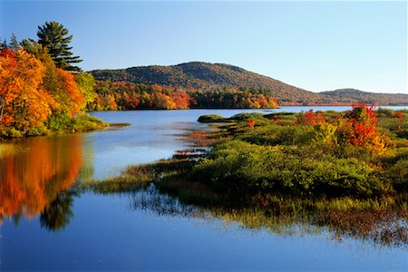 Lewey Lake in Autumn, Adirondack Park, New York State, USA Foto de stock - Con derechos protegidos, Código: 700-00481951