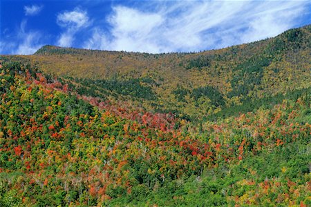 McKenzie Mountain Wilderness, Adirondack Park, New York State, USA Foto de stock - Con derechos protegidos, Código: 700-00481952