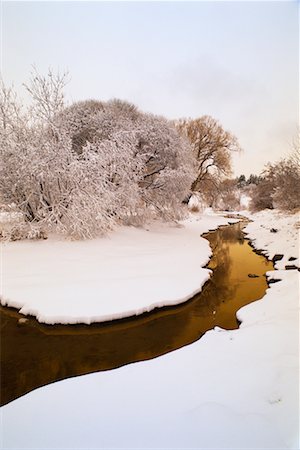 rio ottawa - Stream through Forest in Winter Foto de stock - Direito Controlado, Número: 700-00514941