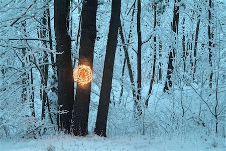 peter christopher - Christmas Wreath in Forest Foto de stock - Con derechos protegidos, Código: 700-00515177