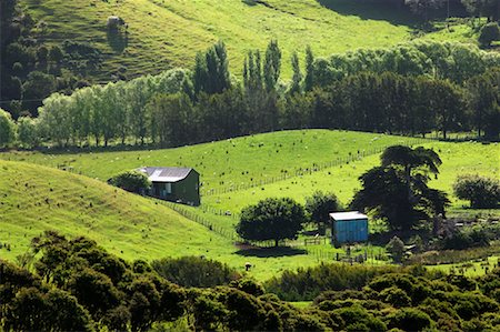 Farmland, Waiheke Island, New Zealand Fotografie stock - Rights-Managed, Codice: 700-00524729