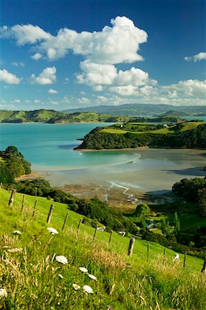 Omaru Bay, Waiheke Island, New Zealand Fotografie stock - Rights-Managed, Codice: 700-00524720