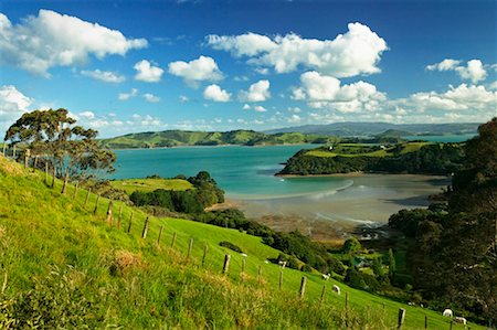 Omaru Bay, Waiheke Island, Neuseeland Stockbilder - Lizenzpflichtiges, Bildnummer: 700-00524721