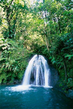 Waterfall, Basse-Terre, Guadeloupe, French West Indies Stock Photo - Rights-Managed, Code: 700-00527669