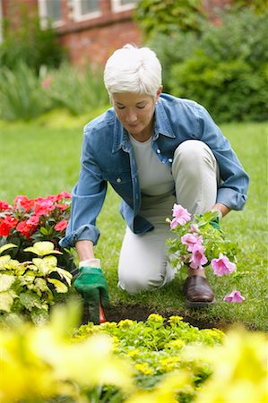simsearch:700-01955498,k - Woman Gardening Foto de stock - Con derechos protegidos, Código: 700-00529334
