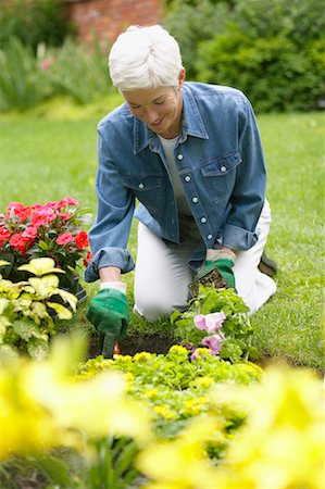 simsearch:700-01955498,k - Woman Gardening Foto de stock - Con derechos protegidos, Código: 700-00529332