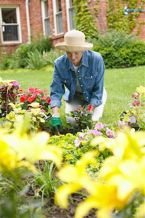 simsearch:700-01955498,k - Woman Gardening Foto de stock - Con derechos protegidos, Código: 700-00529343
