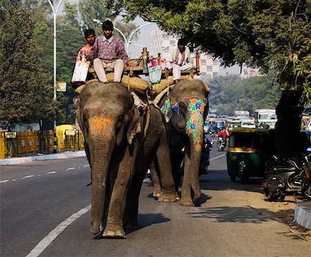 simsearch:700-00521091,k - Elephants on Street, Delhi, India Stock Photo - Rights-Managed, Code: 700-00521104
