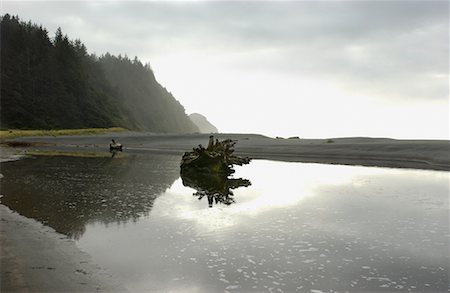pozza di marea - Coastline and Fog, Oregon, USA Fotografie stock - Rights-Managed, Codice: 700-00521206