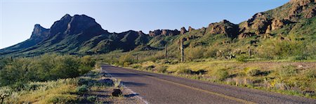 simsearch:700-00530088,k - Park Road, parc d'état de Picacho Peak, Arizona, Etats-Unis Photographie de stock - Rights-Managed, Code: 700-00530096