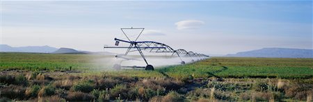 Irrigation of Farmland, Texas, USA Stock Photo - Rights-Managed, Code: 700-00530099