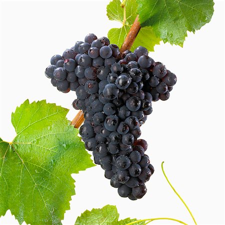 simsearch:700-00014394,k - Pinot Noire Grapes Foto de stock - Con derechos protegidos, Código: 700-00530270