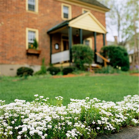 Flower Bed in Yard of House Stock Photo - Rights-Managed, Code: 700-00544037