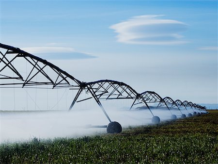 Irrigation on Field, Texas, USA Stock Photo - Rights-Managed, Code: 700-00546360