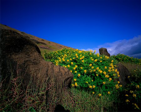 simsearch:700-00459760,k - Moai, Rano Raraku, île de Pâques, Chili Photographie de stock - Rights-Managed, Code: 700-00546784