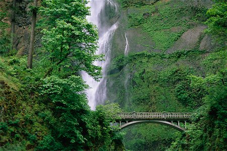 Bridge and Multnomah Falls, Columbia River Gorge, Oregon, USA Fotografie stock - Rights-Managed, Codice: 700-00546945
