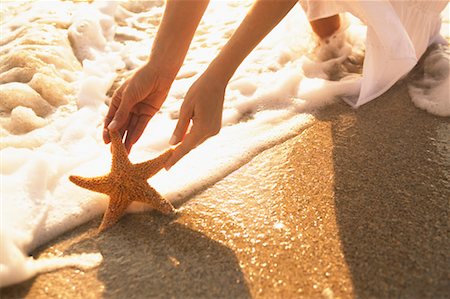 simsearch:600-01787545,k - Hands Picking up Starfish Stock Photo - Rights-Managed, Code: 700-00547060