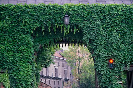 Ivy Covered Archway, Krakow, Poland Stock Photo - Rights-Managed, Code: 700-00547474