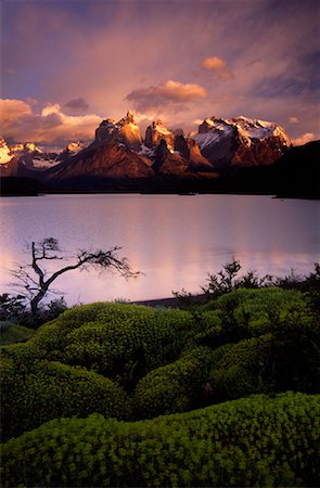 patagonia lakes and mountain ranges - Lake Pehoe and Cuernos del Paine, Torres del Paine National Park, Patagonia, Chile Stock Photo - Rights-Managed, Code: 700-00549784