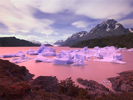 Lago Grey et les Icebergs, le Parc National Torres del Paine, Chili Patagonie Photographie de stock - Rights-Managed, Code: 700-00549782