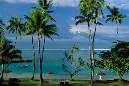 Beach at Warwick Fiji Hotel, Coral Coast, Viti Levu, Fiji Foto de stock - Con derechos protegidos, Código: 700-00554496