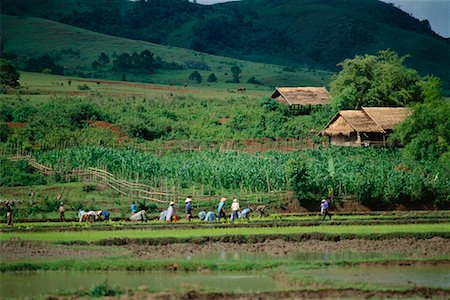 picture countryside of laos - Rural Xiang Khoang, Laos Stock Photo - Rights-Managed, Code: 700-00554823