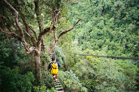 simsearch:700-03805285,k - Homme traversant passerelle surélevée en forêt, Cagayan de Oro, Mindanao, Philippines Photographie de stock - Rights-Managed, Code: 700-00555316