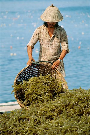 simsearch:700-00555247,k - Man Emptying Basket of Seaweed, Zamboanga, Philippines Foto de stock - Con derechos protegidos, Código: 700-00555393