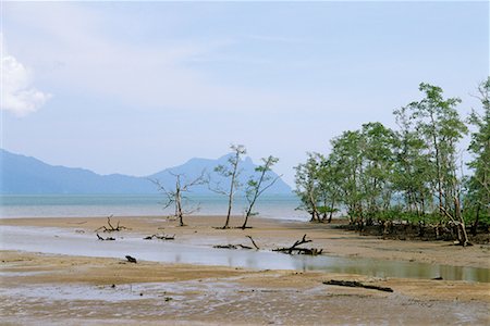 Bako National Park, Borneo, Malaysia Stock Photo - Rights-Managed, Code: 700-00555520