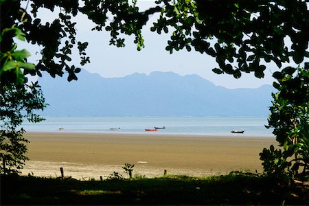 Strand, eingerahmt von Blätter, Bako Nationalpark, Borneo, Malaysia Stockbilder - Lizenzpflichtiges, Bildnummer: 700-00555522