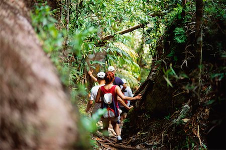 rain forest in malaysia - People Hiking, Borneo, Malaysia Stock Photo - Rights-Managed, Code: 700-00555568